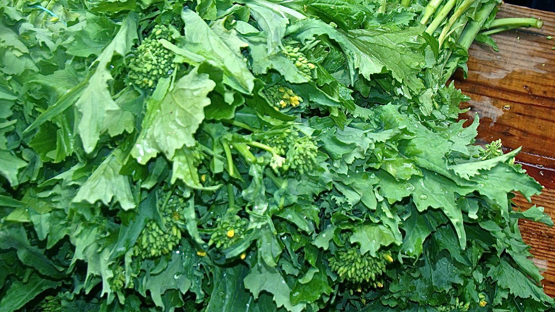 friarielli broccoli