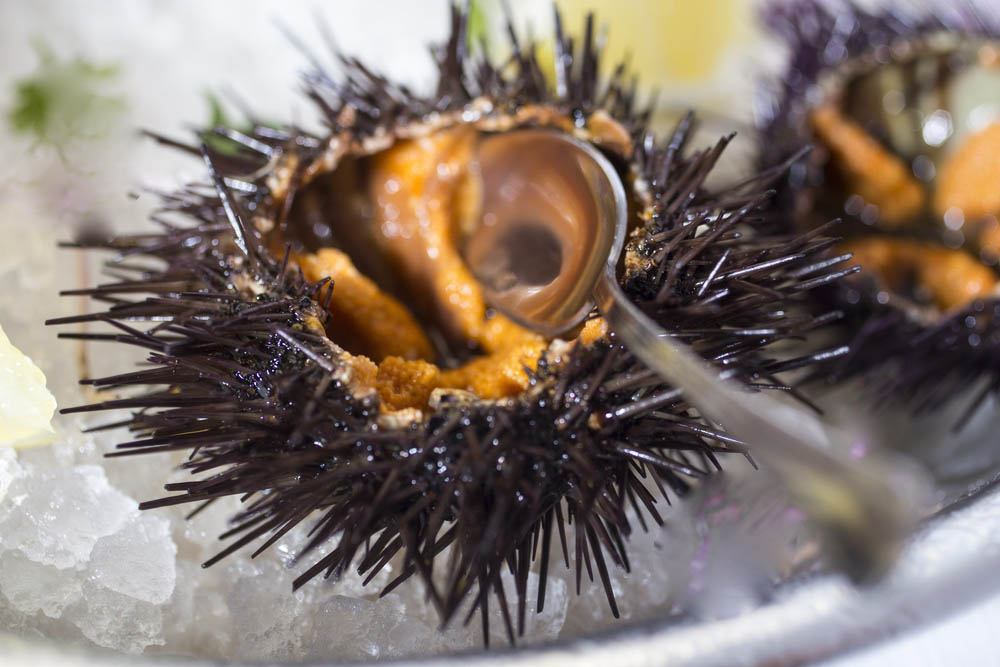 Uova dei ricci di mare freschi